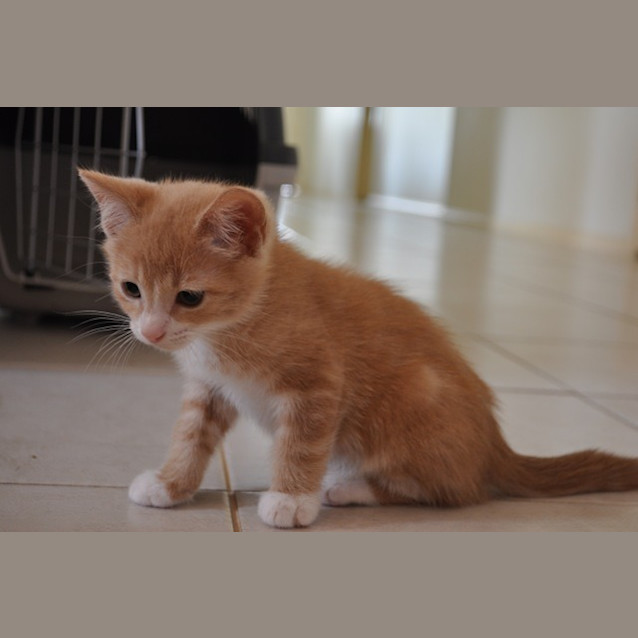 Photo of Bilbo