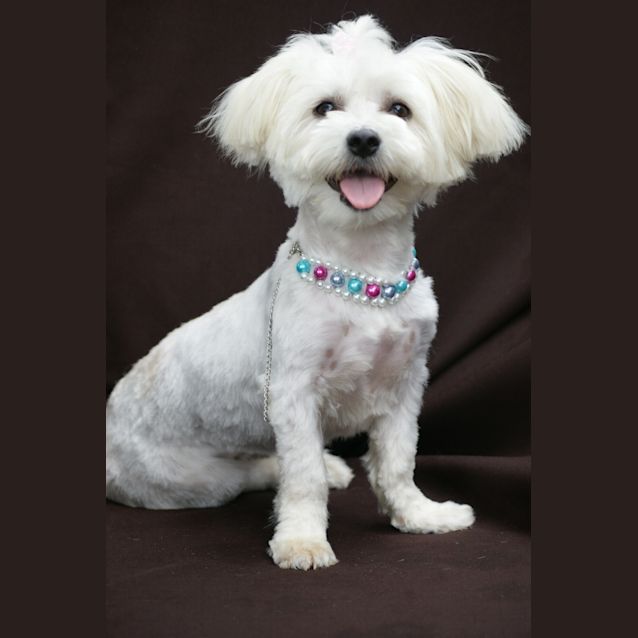 Photo of Leelee
