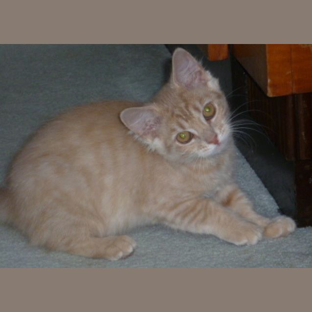 Photo of Elsa   Located In Brunswick