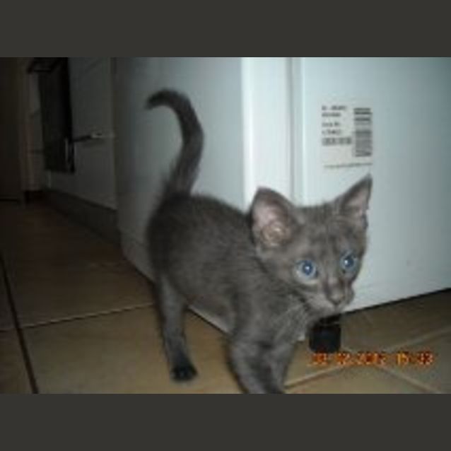 Photo of Arthur