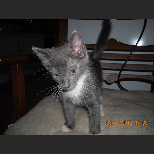 Photo of Alyssa