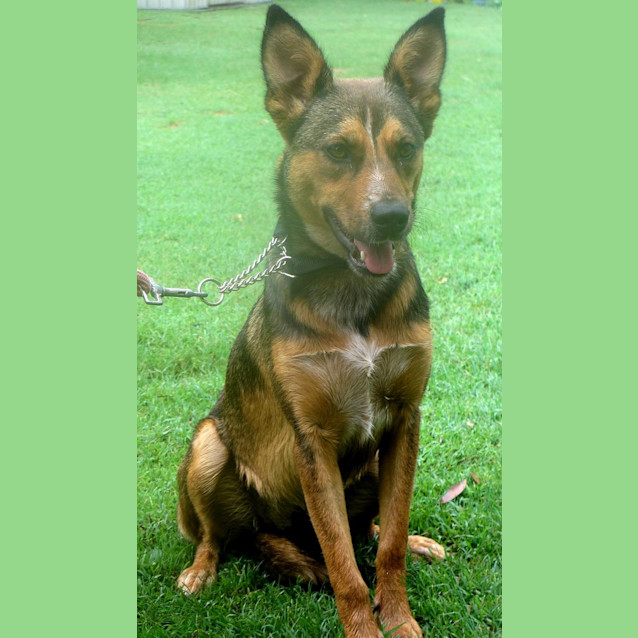 Photo of Lilly Dee