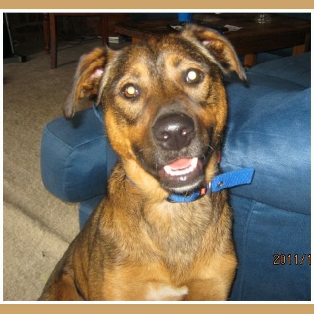 Photo of Ollie