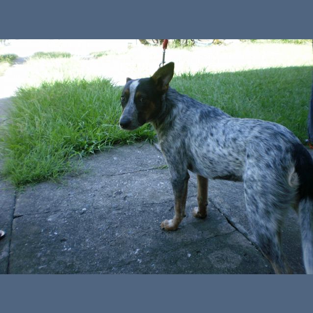 Photo of Milly