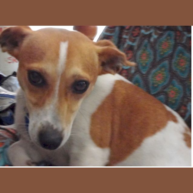 Photo of Rosie (On Trial)