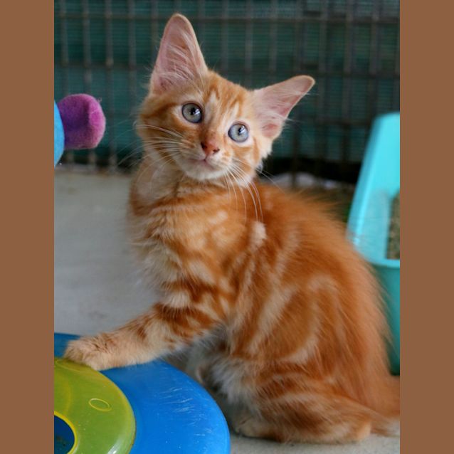 Photo of Paddy
