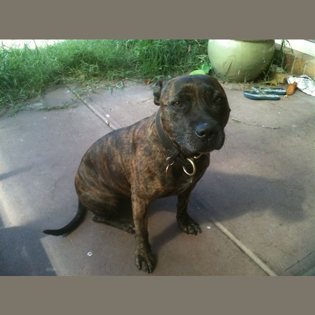 Photo of Lola