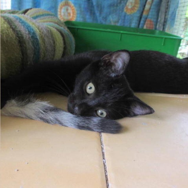Photo of Benny