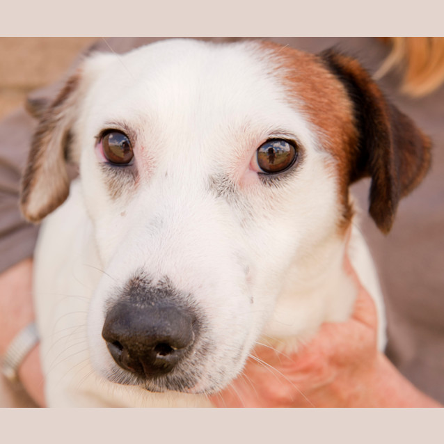 Photo of Kit Id 5424