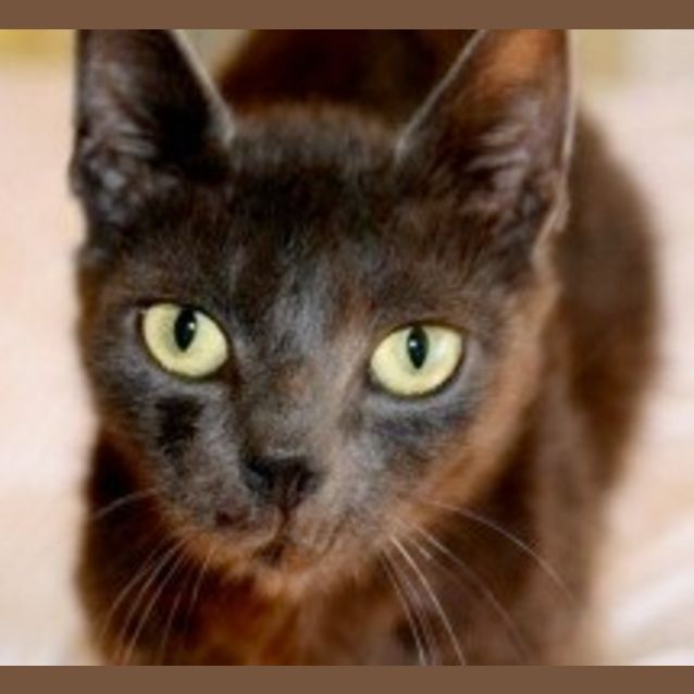 Photo of Stormy