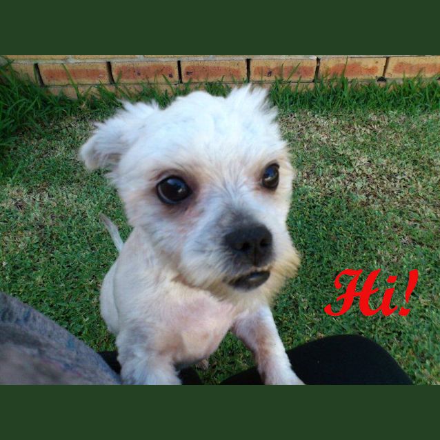 Photo of Sugar (On Trial)