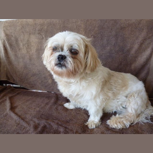 Photo of Annie