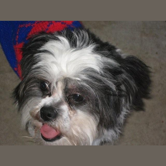 Photo of Mickee