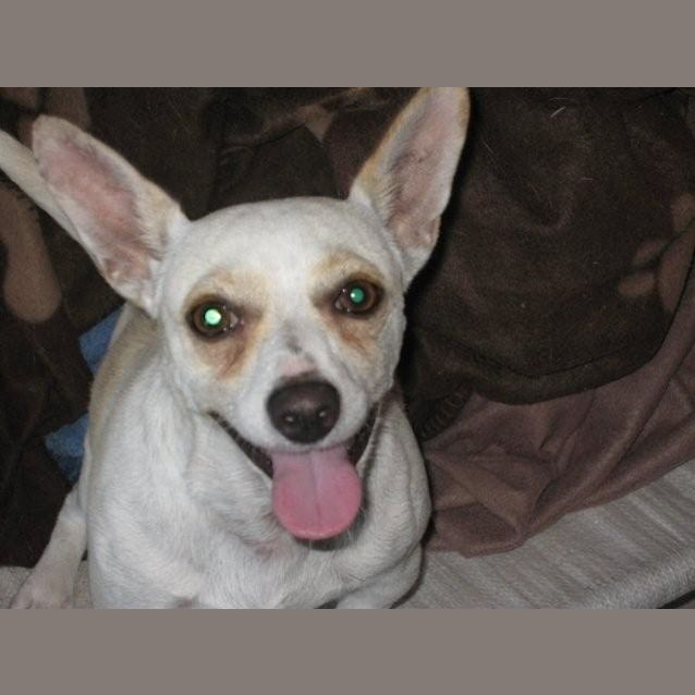 Photo of Milly Milly