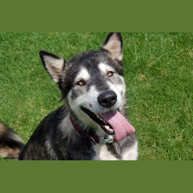 Photo of Skittles Trialling New Home