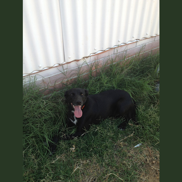 Photo of Sadie Av428 * On Trial *