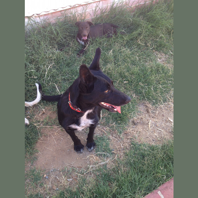 Photo of Sadie Av428 * On Trial *