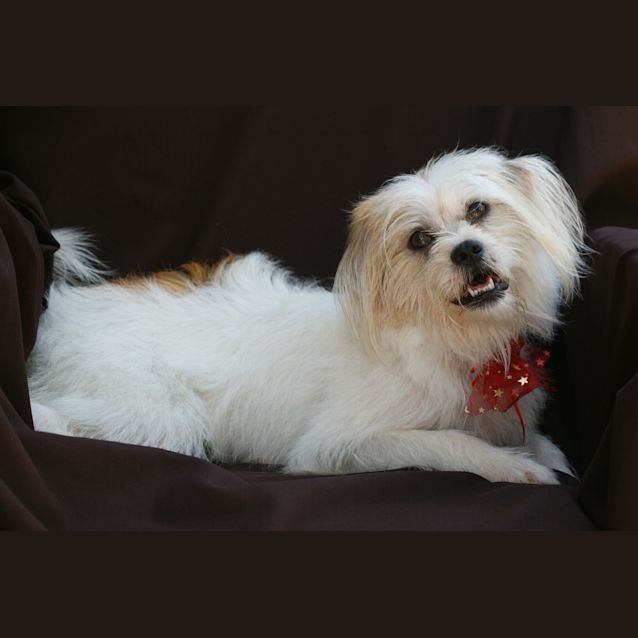 Photo of Jenny