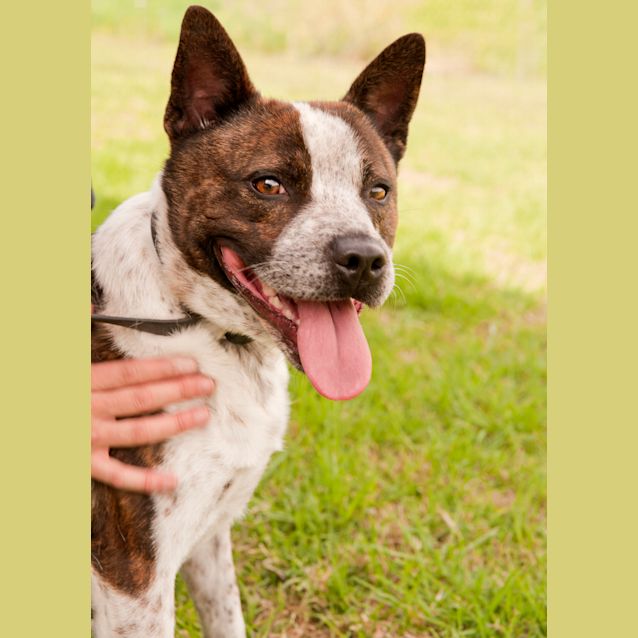 Photo of Zeke Id 6701