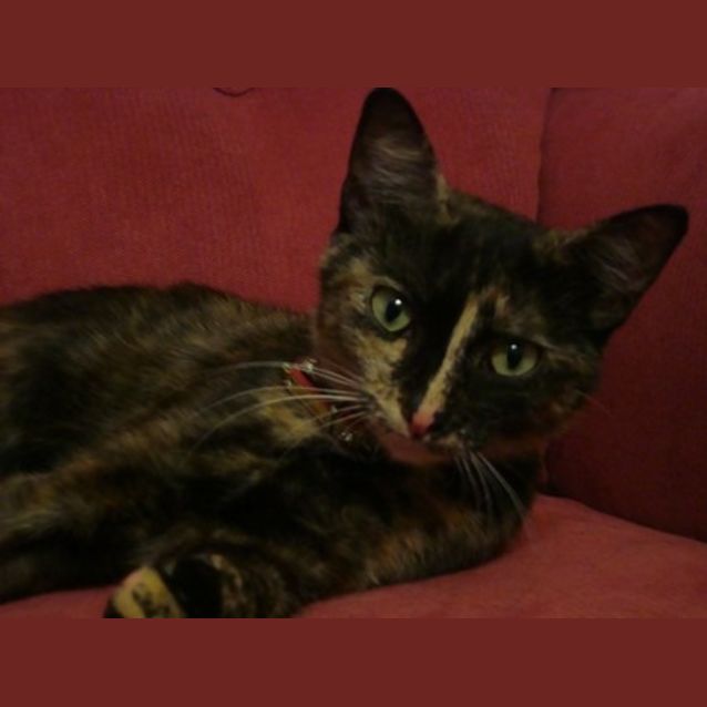Photo of Astra