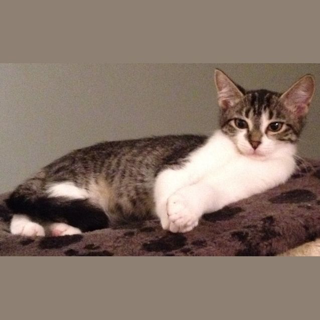 Photo of Zara