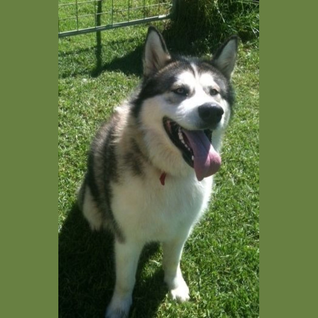 Photo of Cara Trialling New Home