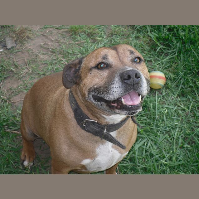 Photo of Griff   I Love Cats And Love Kids!!!!