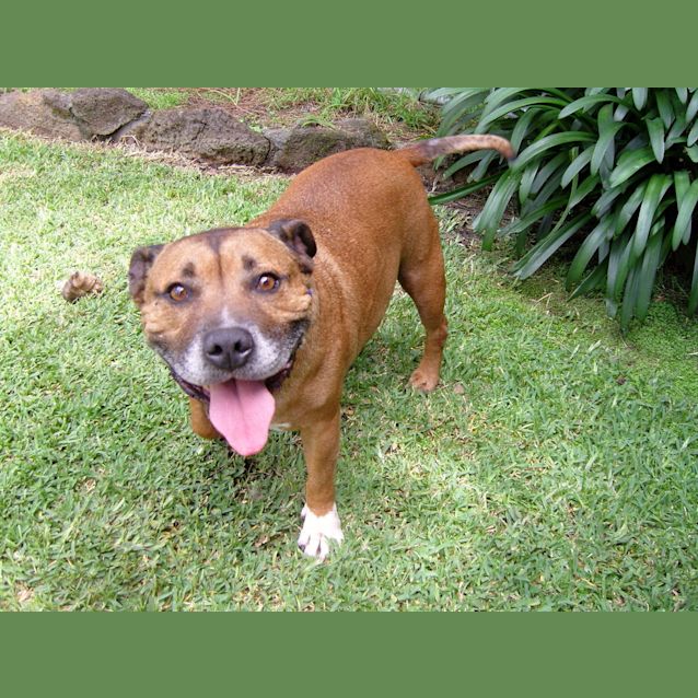 Photo of Griff   I Love Cats And Love Kids!!!!