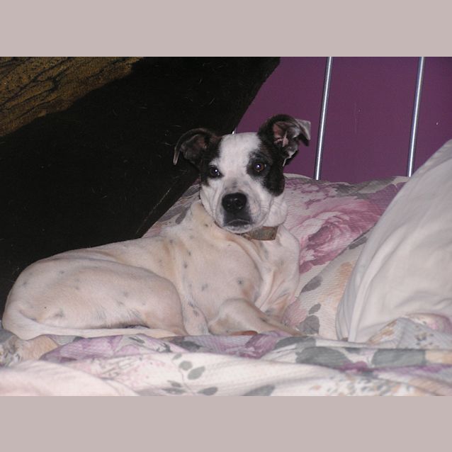 Photo of Timmy