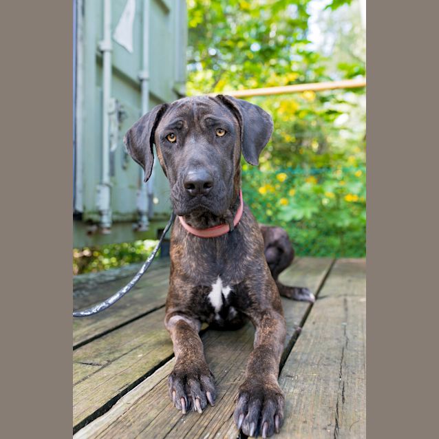 Photo of Molly