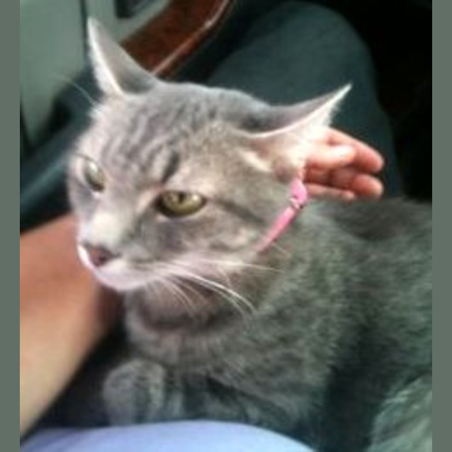 Photo of Narla