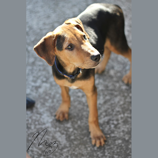 Photo of Ralph