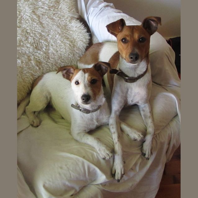 Photo of Ellie (& Charlie)=On Hold