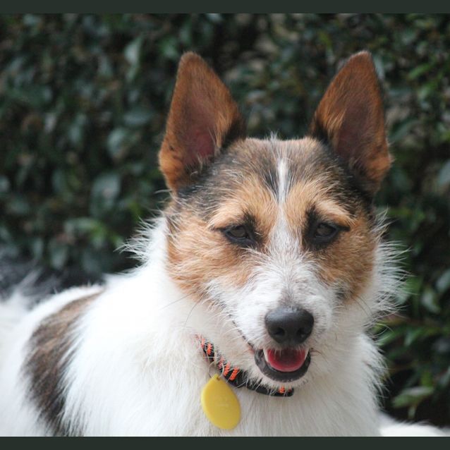 Photo of Mr Sam