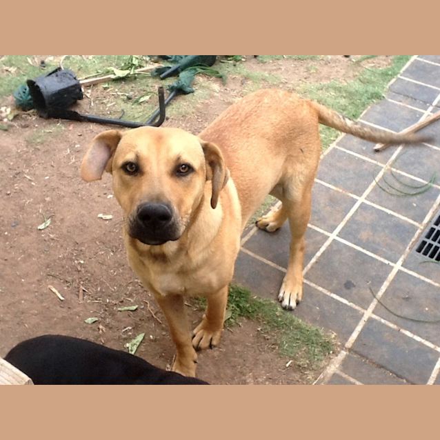 Photo of Hooch