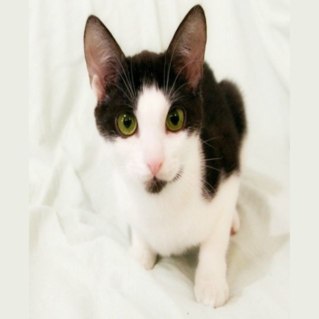 Photo of Alien   On Trial In Her New Home!