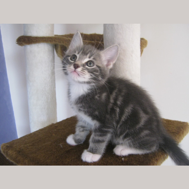 Photo of Edward