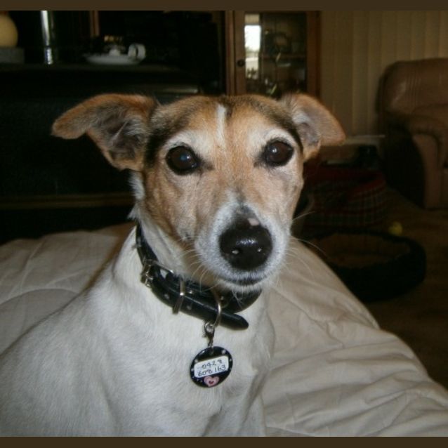 Photo of Molly 