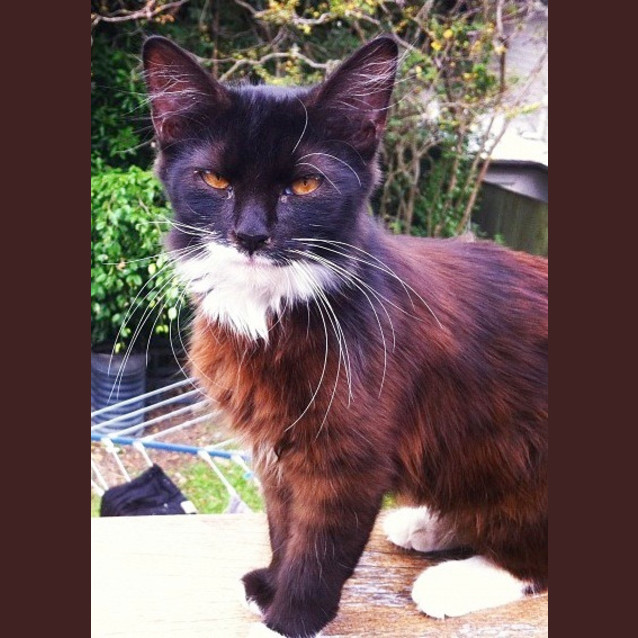 Photo of Fuzzy