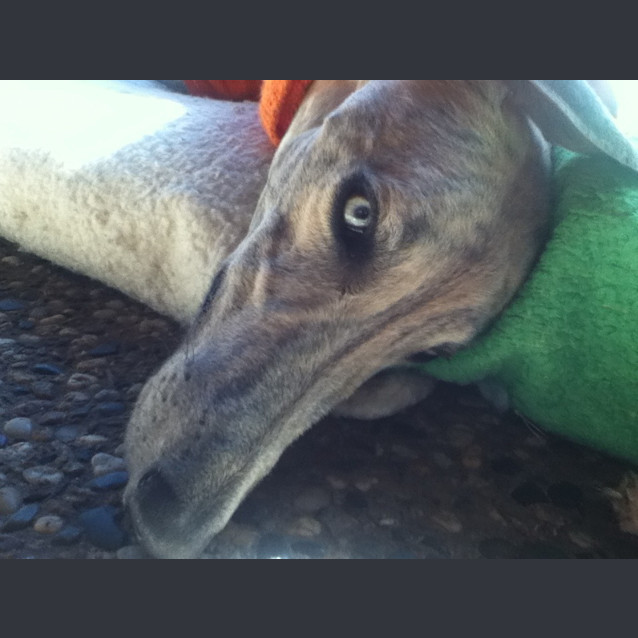 Photo of Wally