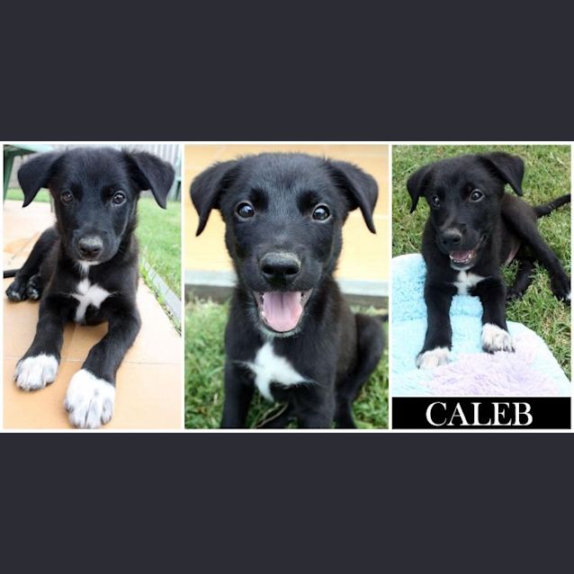 Photo of Caleb