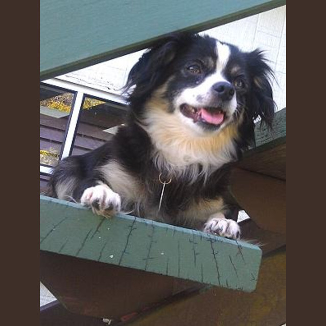 Photo of Maggie
