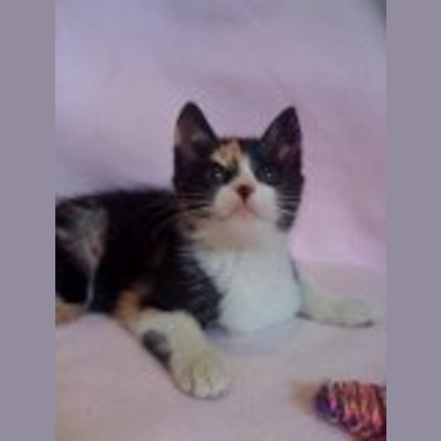 Photo of Harriet