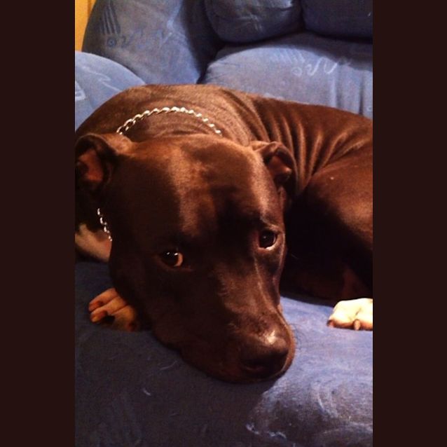 Photo of Baby Blue