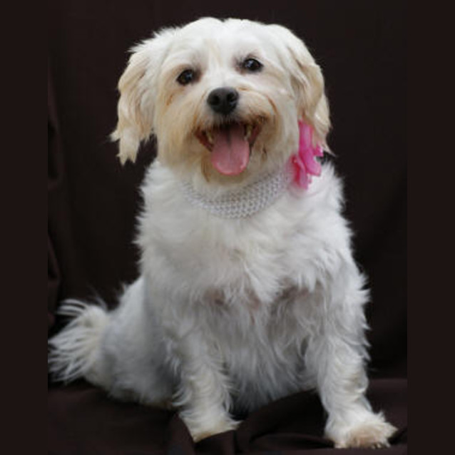 Photo of Darla