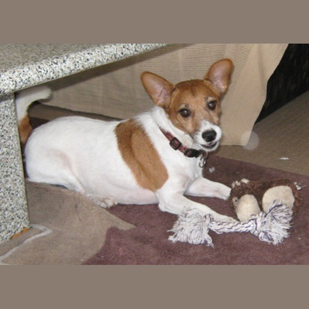 Photo of Charlie