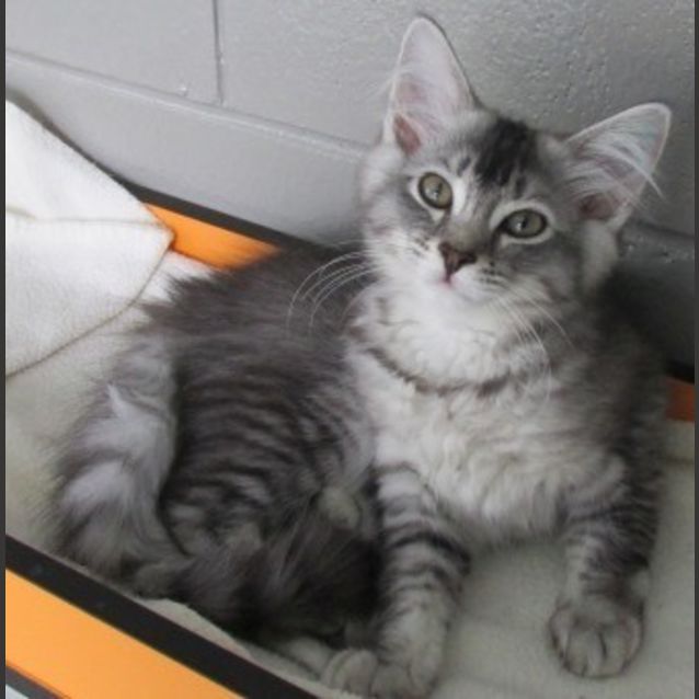 Photo of Aero