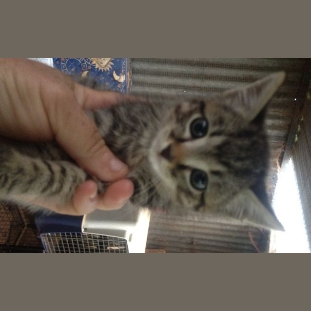 Photo of Ace
