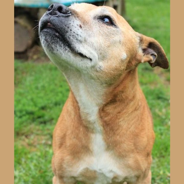 Photo of Lola