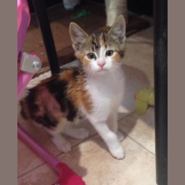 Photo of Dorothy